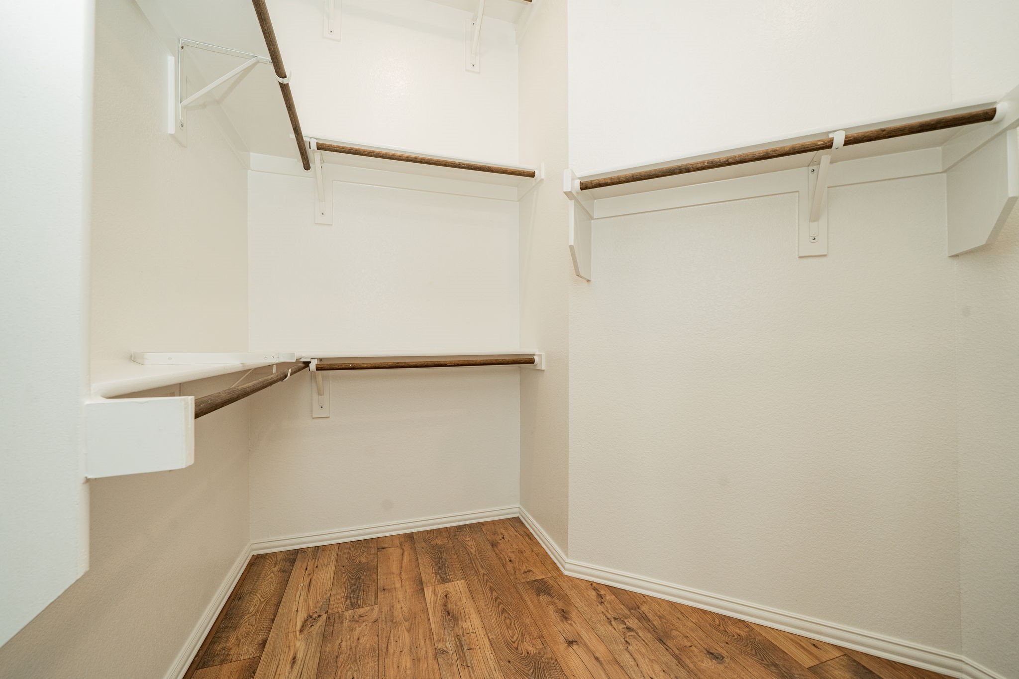 920 Bald Cypress Drive