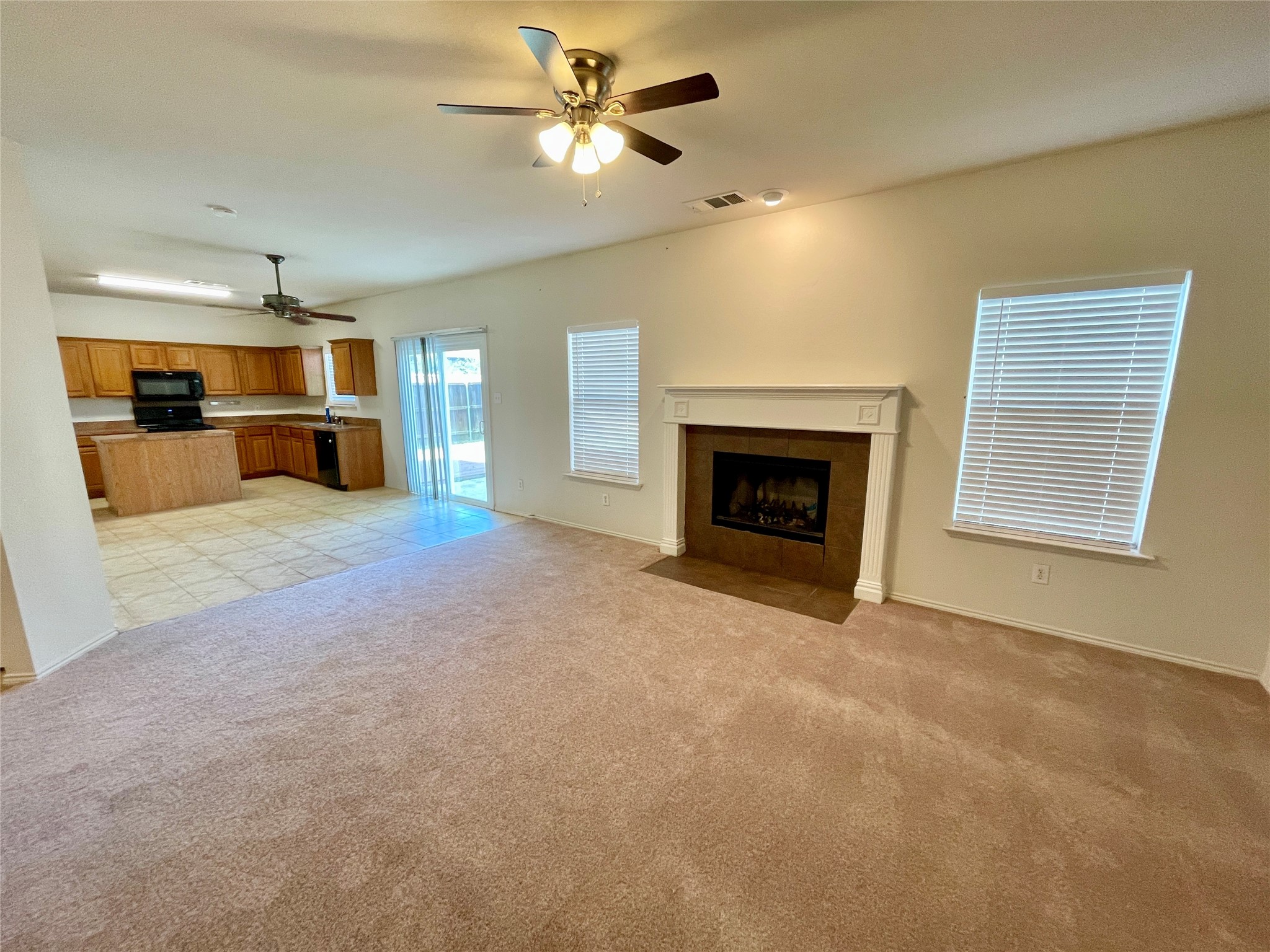 3008 Winding Meadow Trail