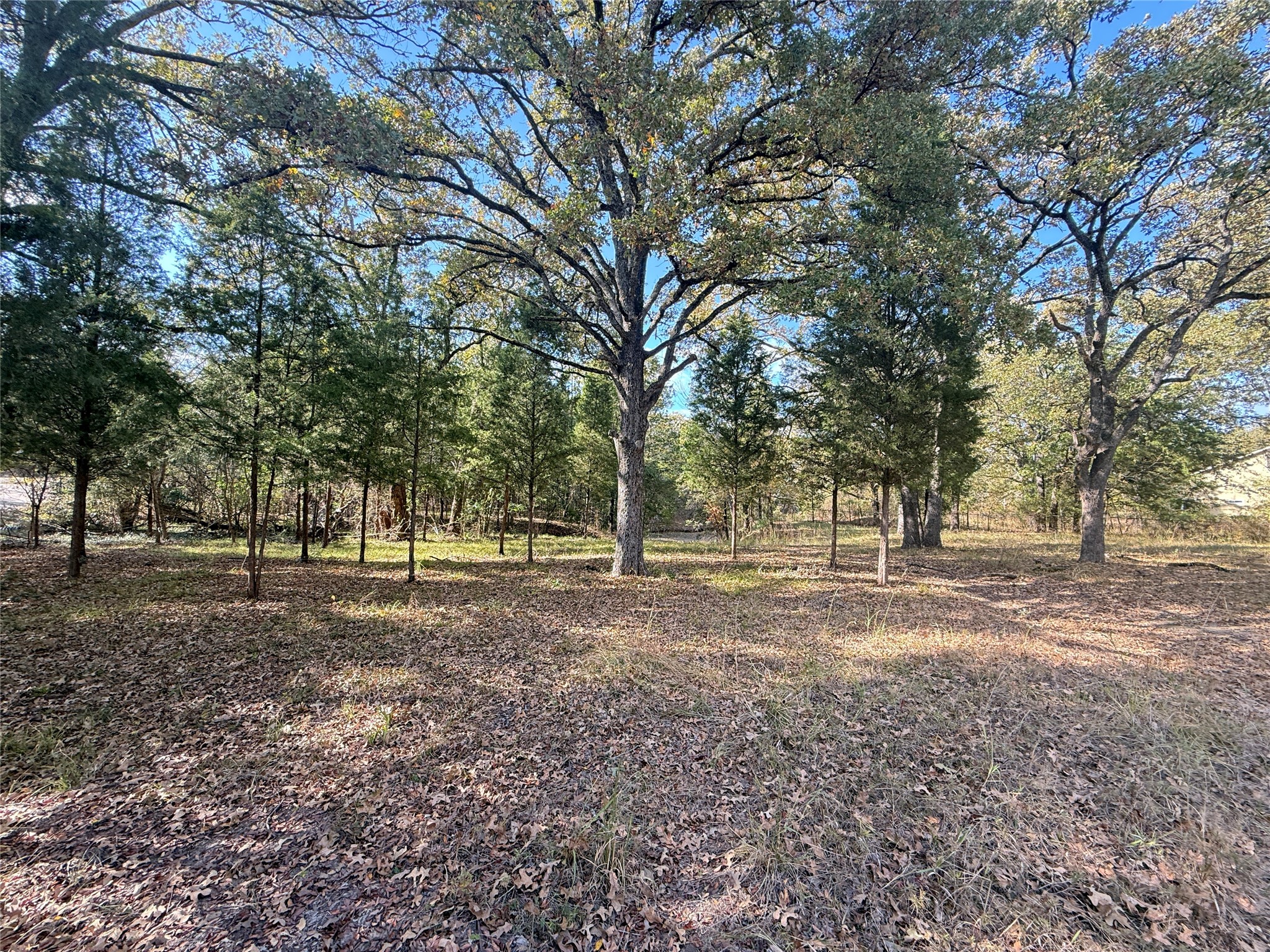 Lot 11 Harris Boulevard