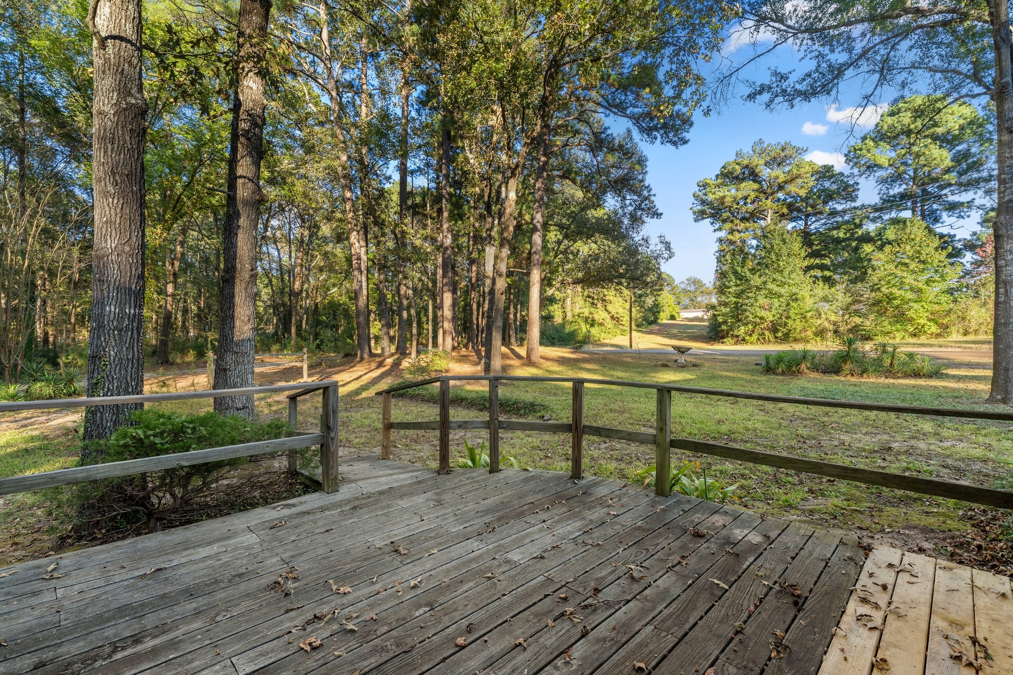 10981 County Road 3405