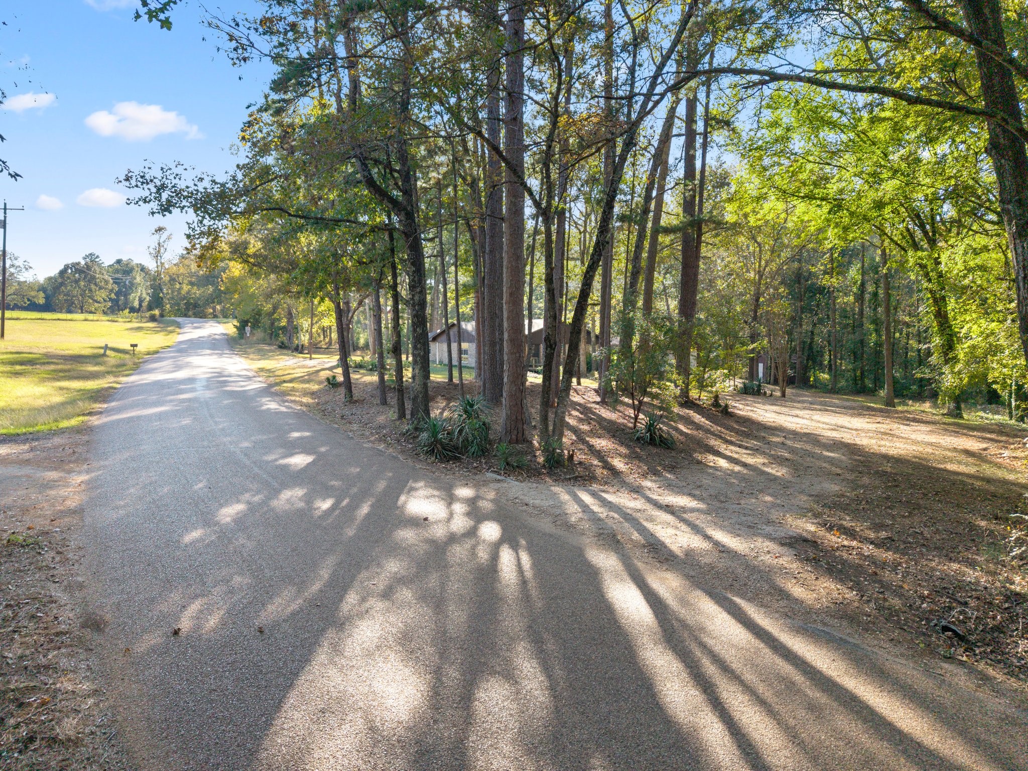 10981 County Road 3405