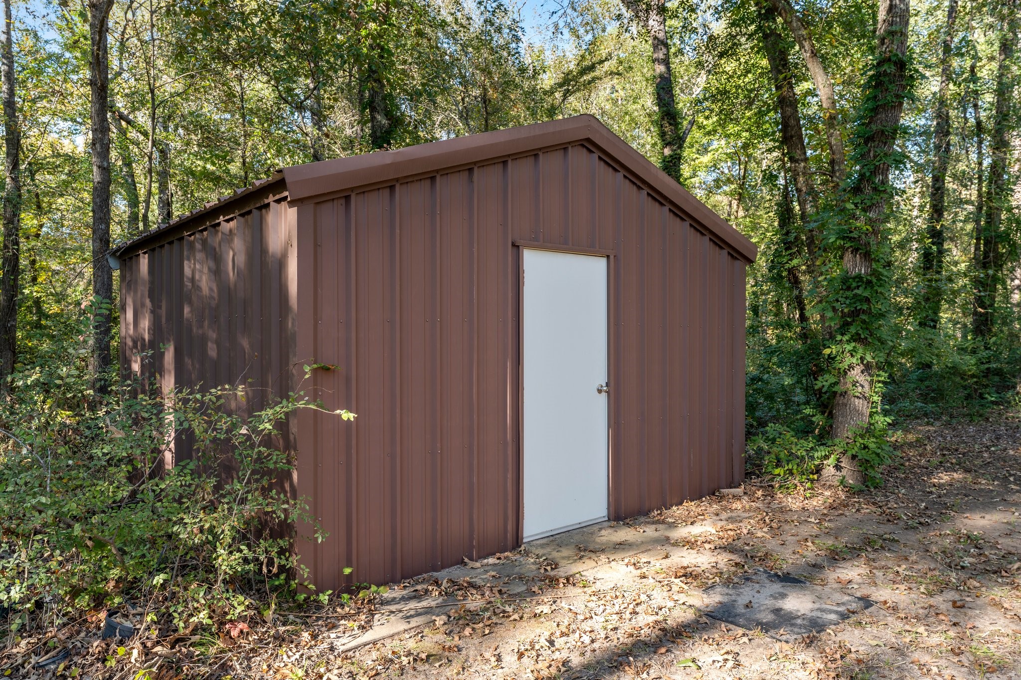 10981 County Road 3405