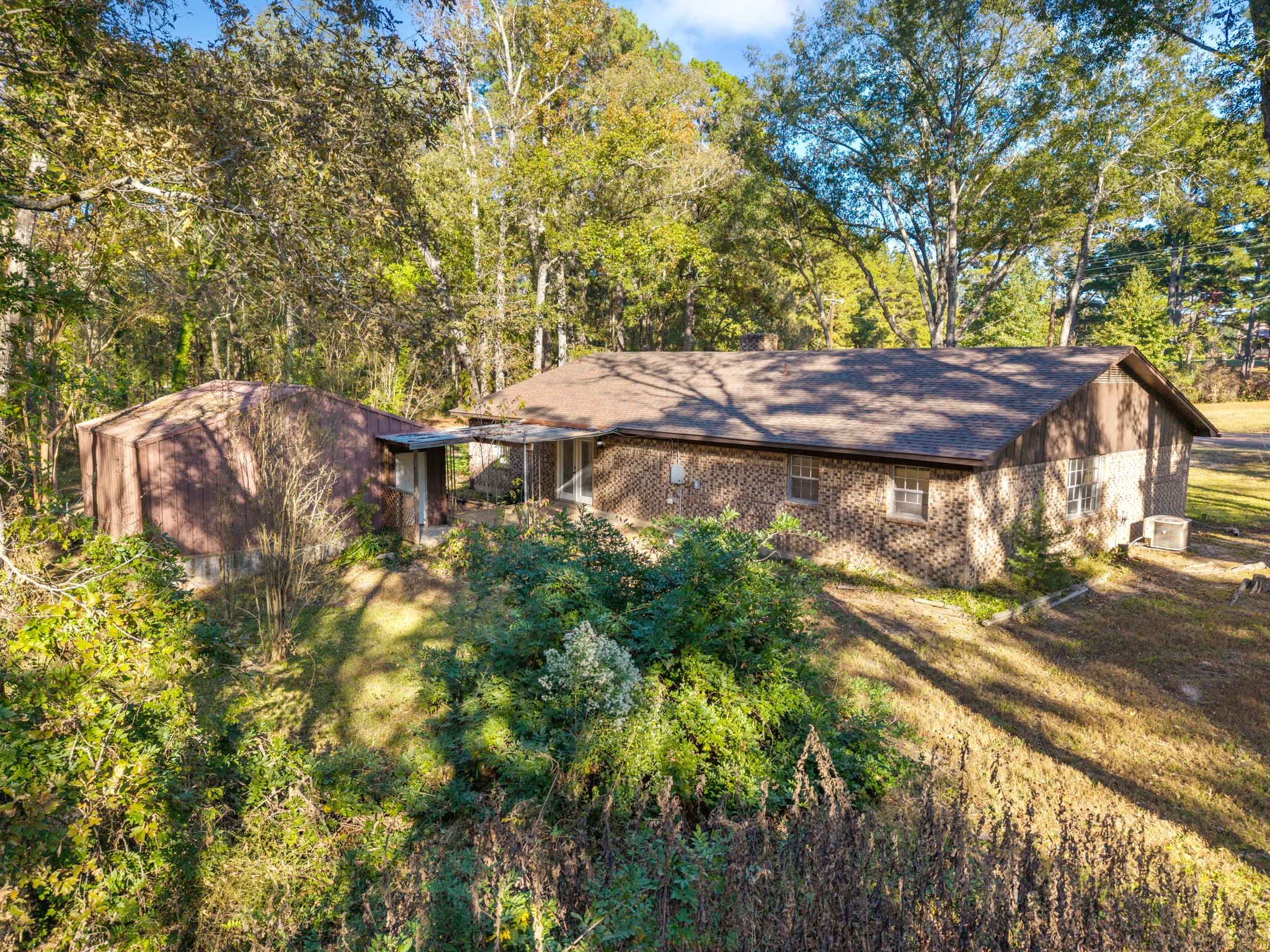 10981 County Road 3405