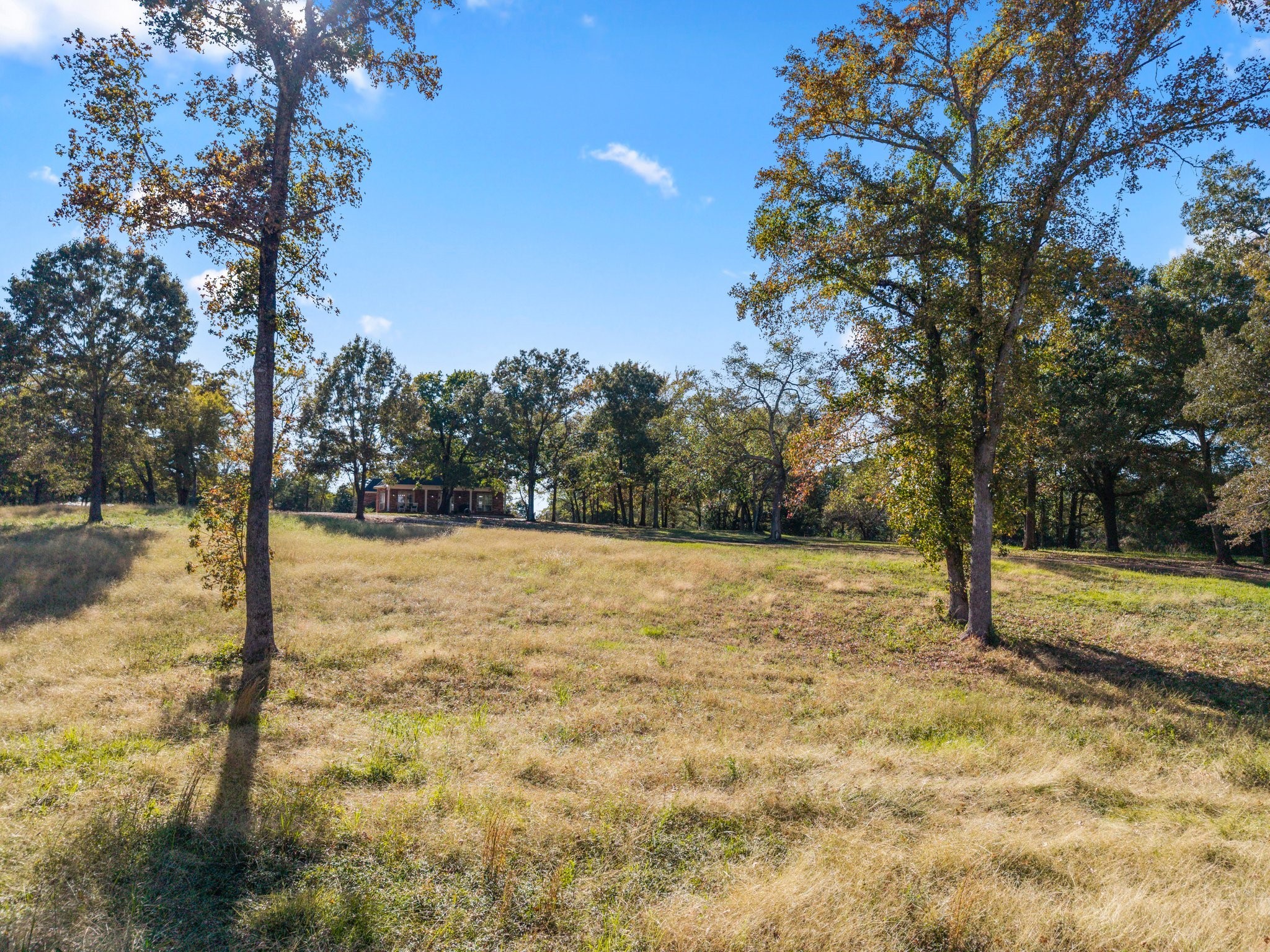 6335 County Road 3602