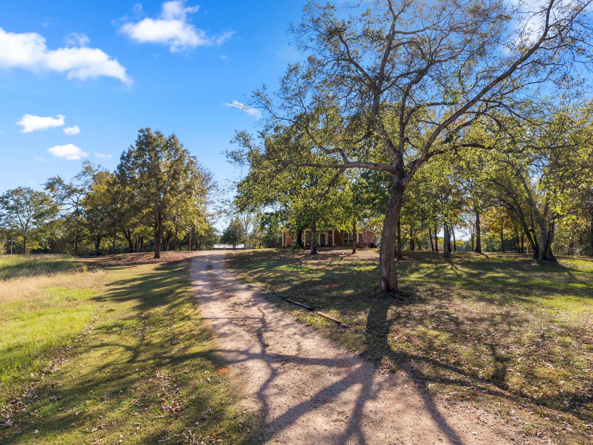 6335 County Road 3602