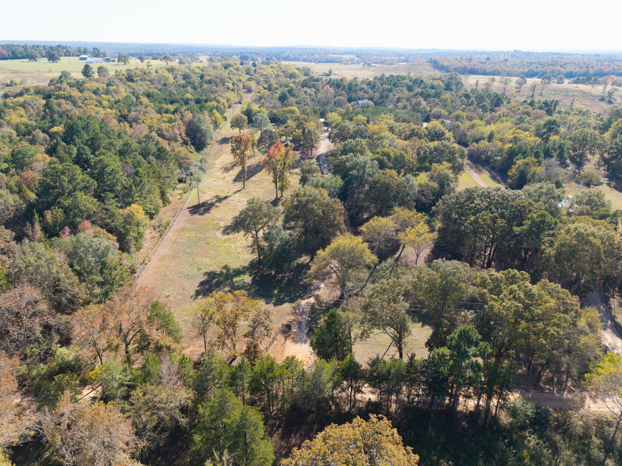 6335 County Road 3602