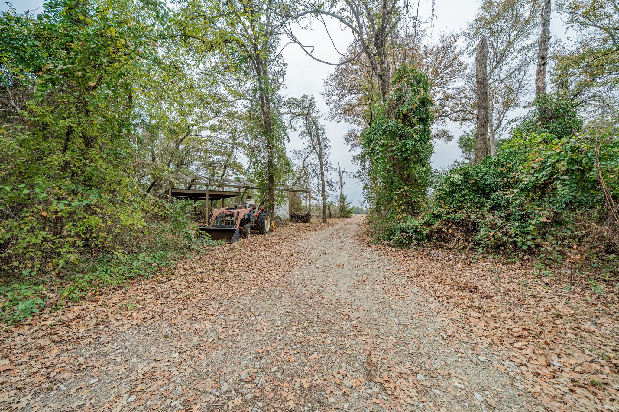 1201 Vz County Road 4418