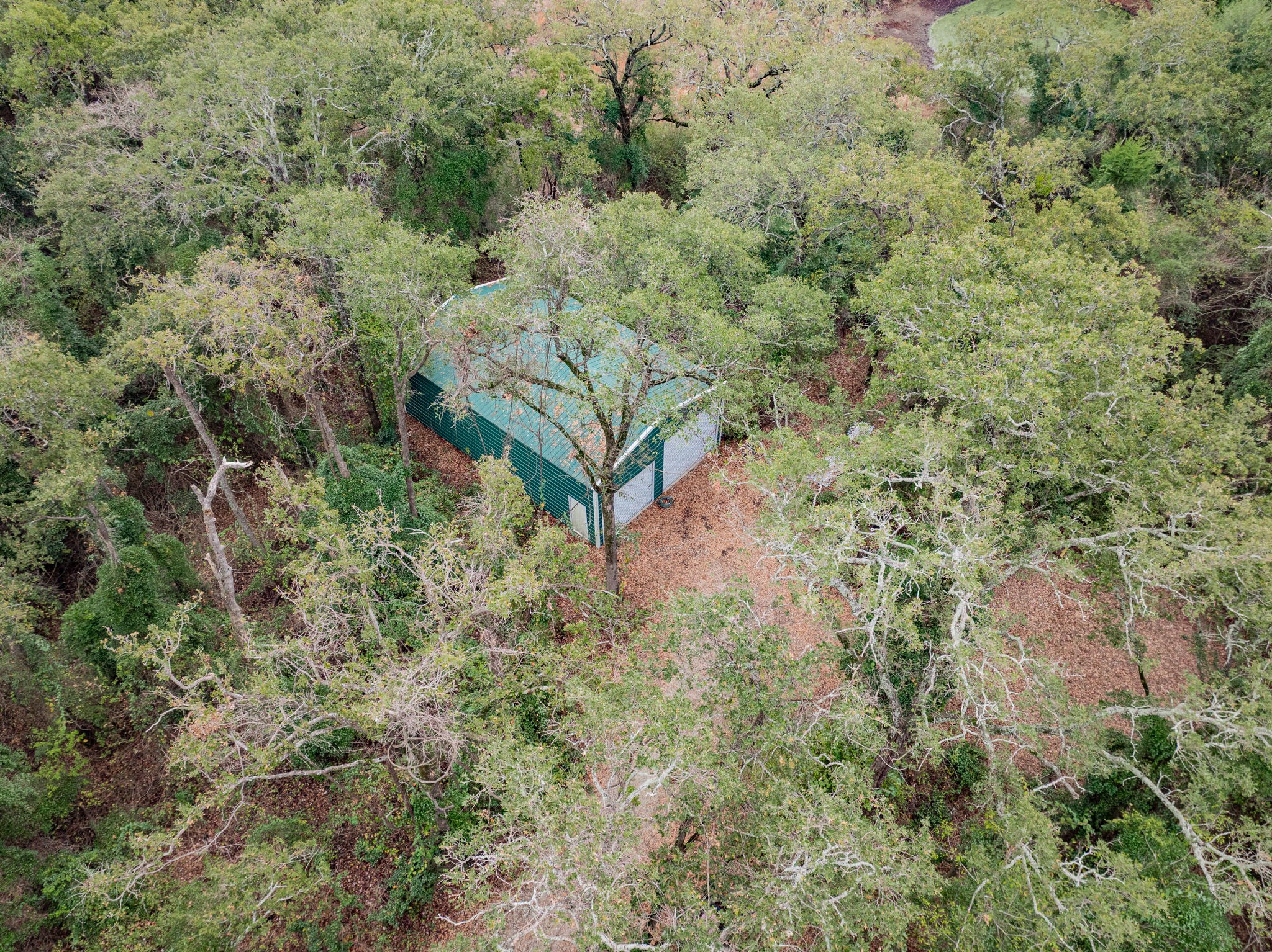 1201 Vz County Road 4418