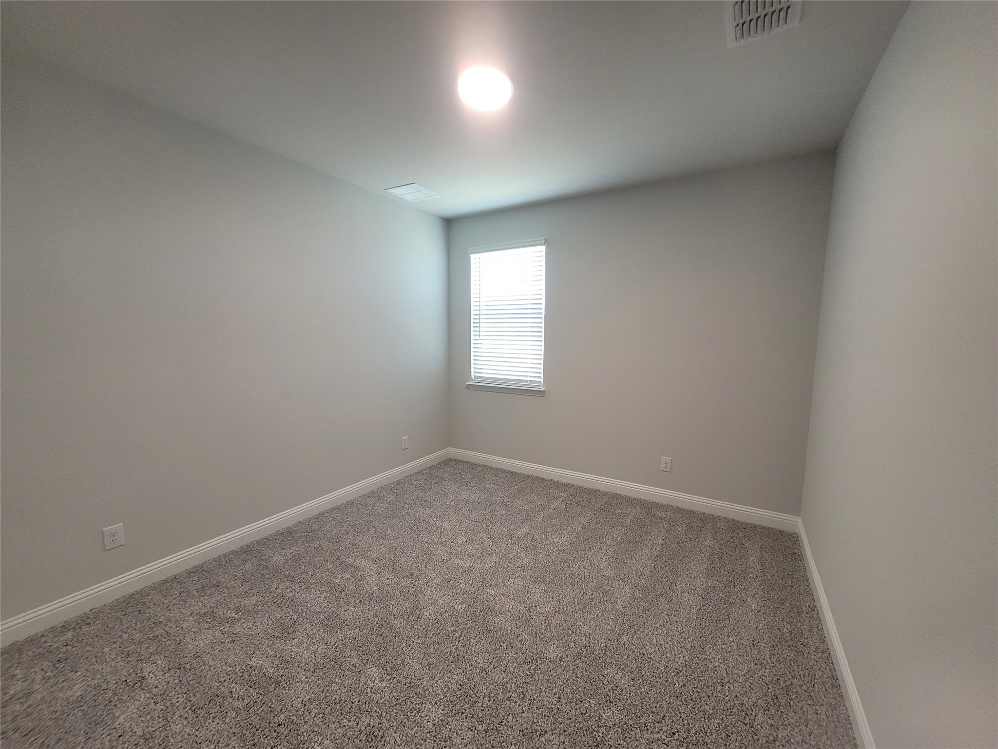 2515 Blue Oasis