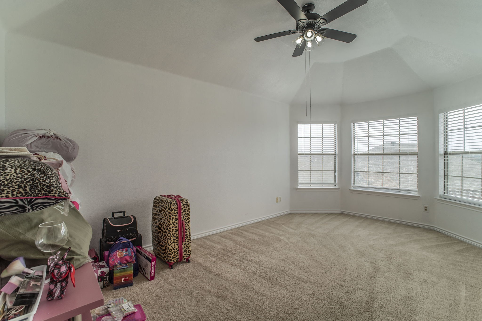 317 Crescent Creek Lane