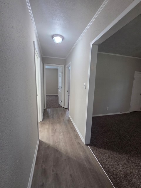 6005 Colorado Street
