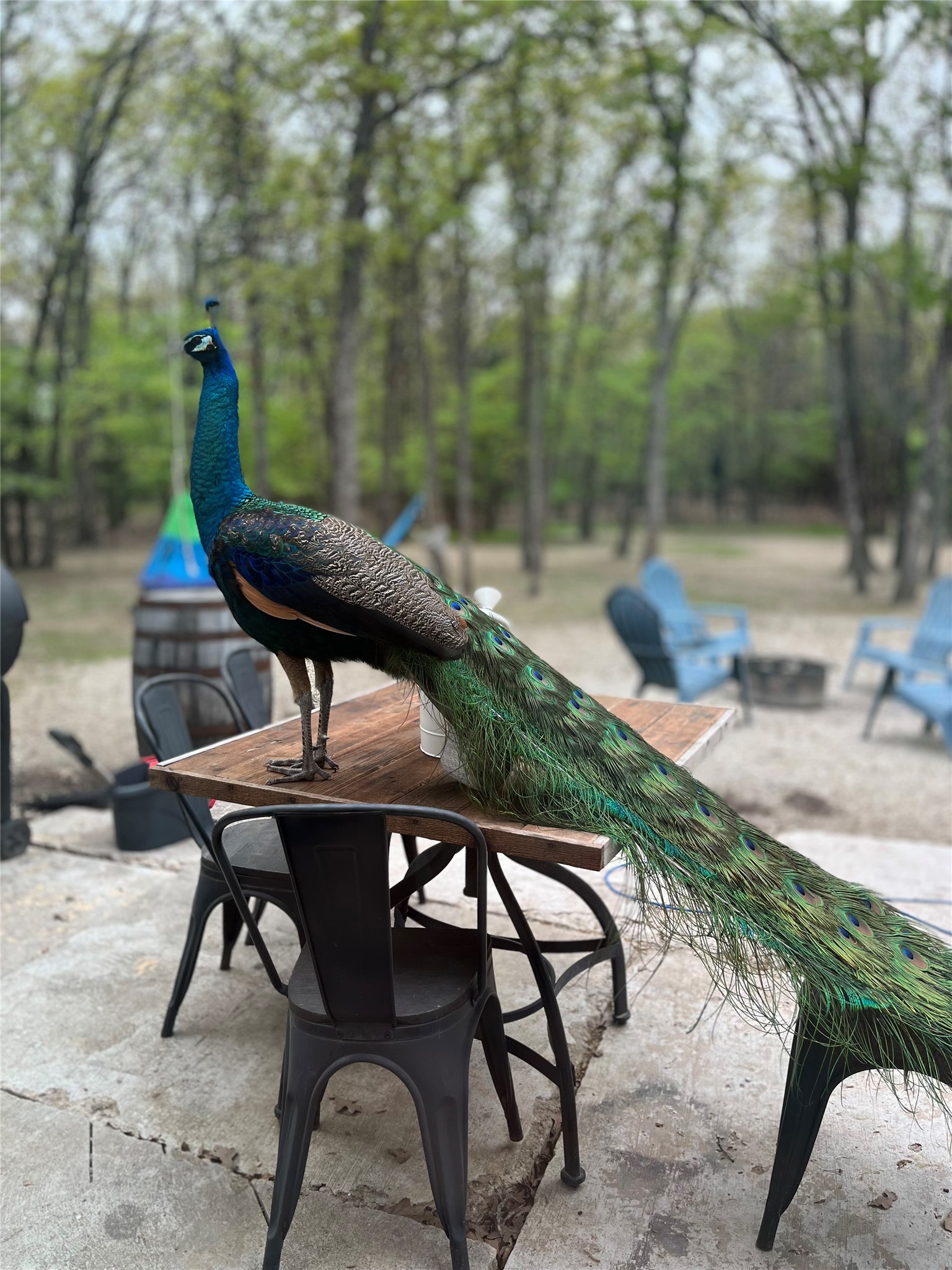 2599 County Road 2510