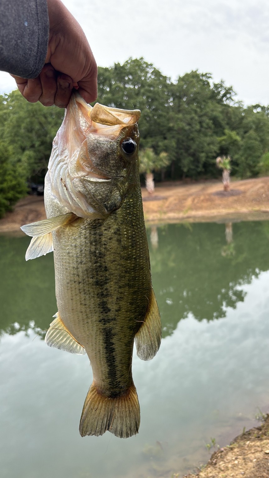 2599 County Road 2510