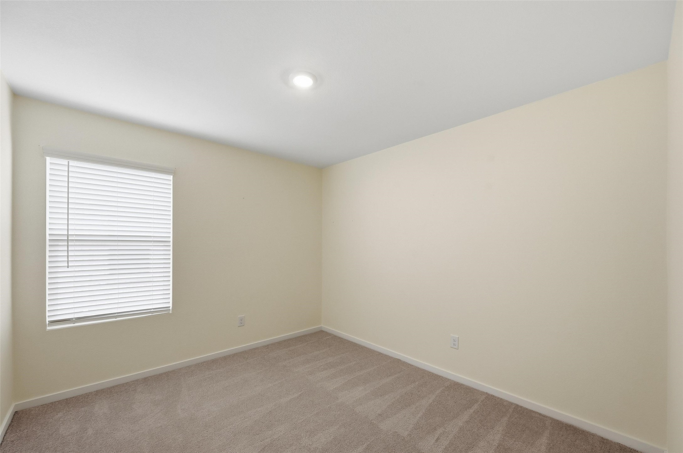 1825 Kiwi Drive