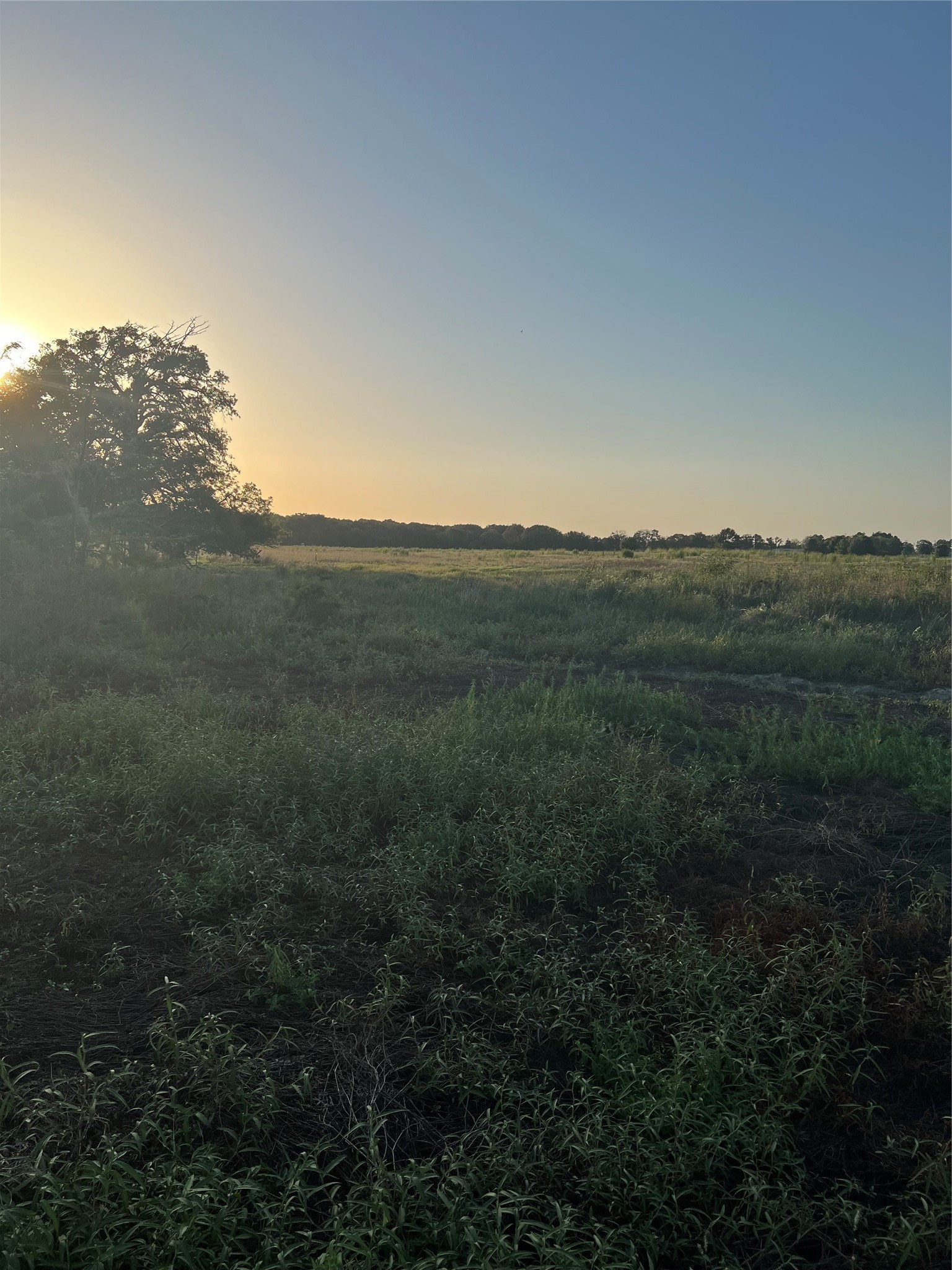 527 County Road 3351