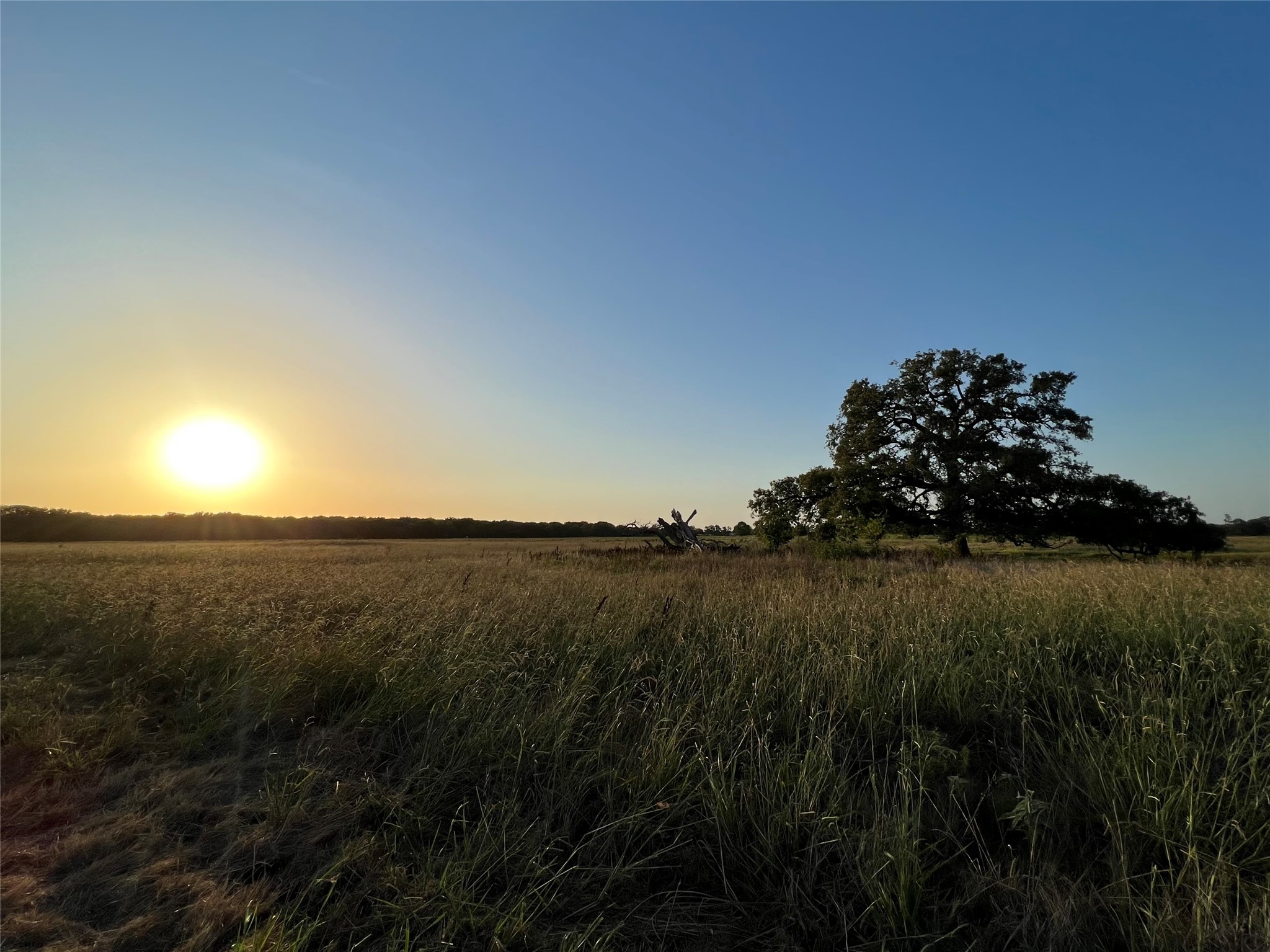 527 County Road 3351