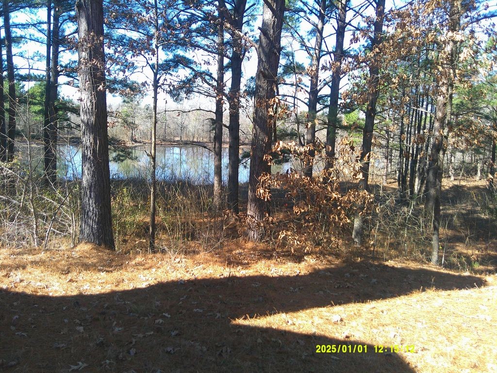 3726 County Road 4284