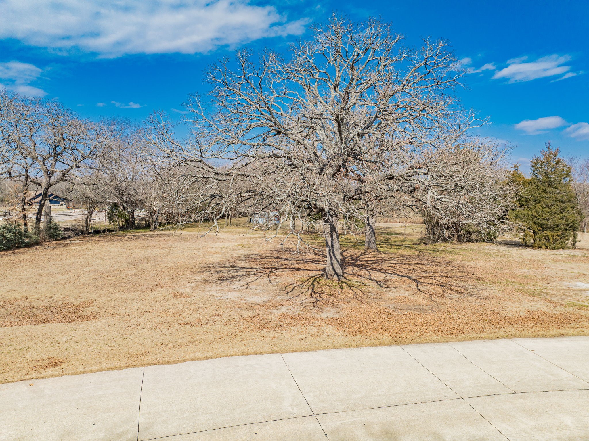 1015 Oak Trail