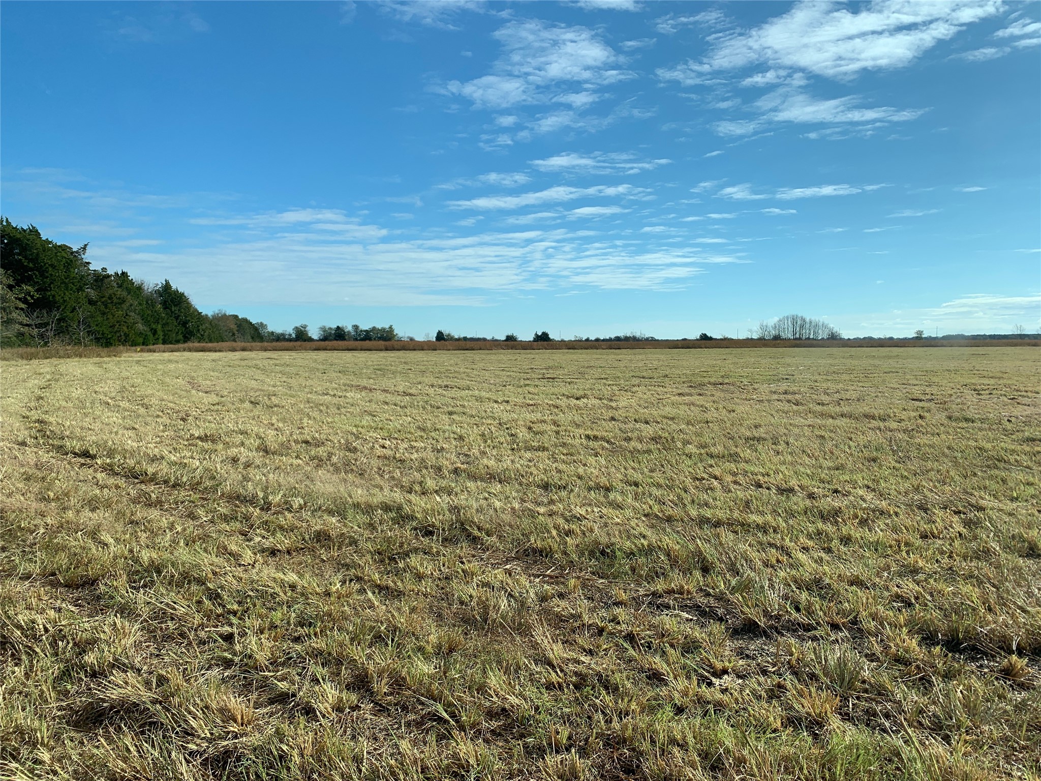 TBD SE County Road 4230