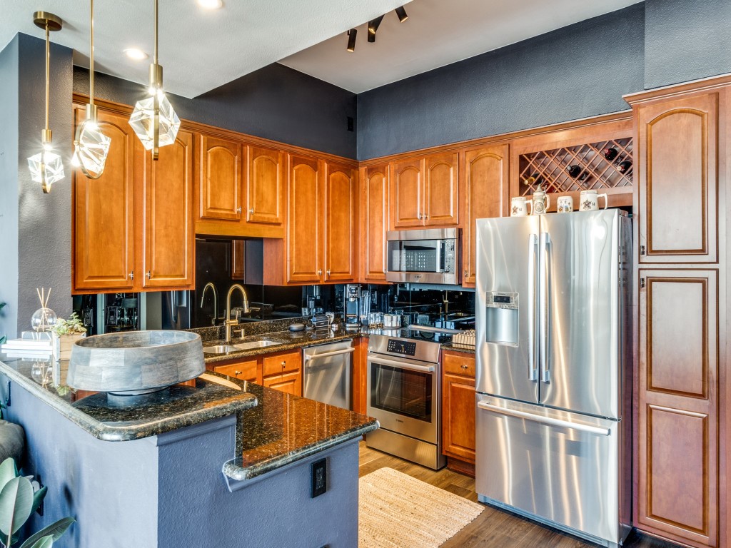 3225 Turtle Creek Boulevard 1509