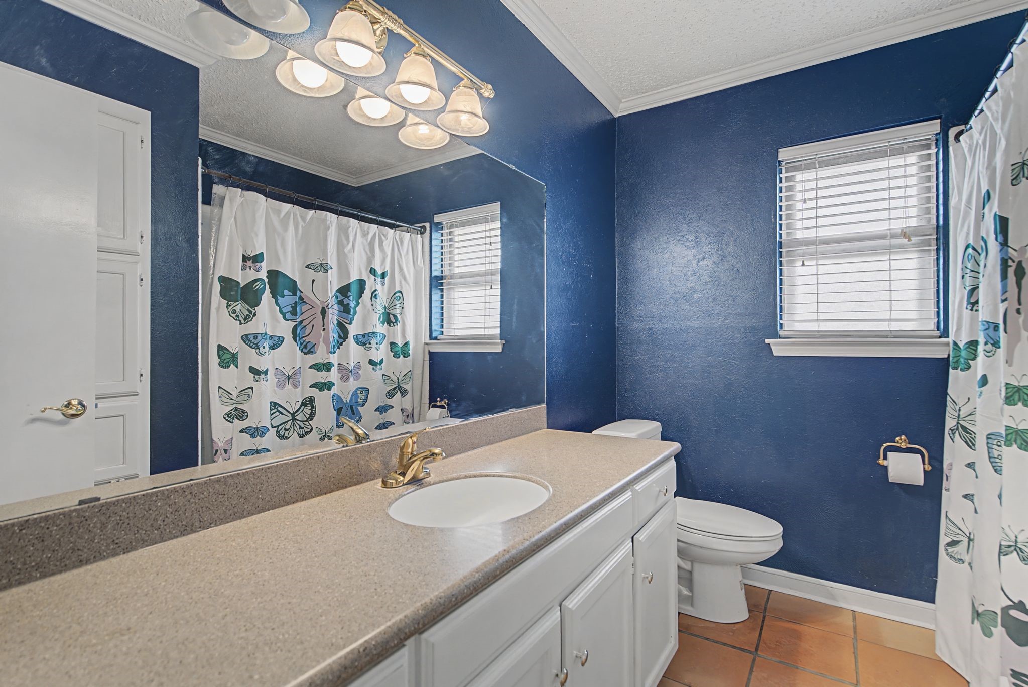 1213 Olmos Creek Place