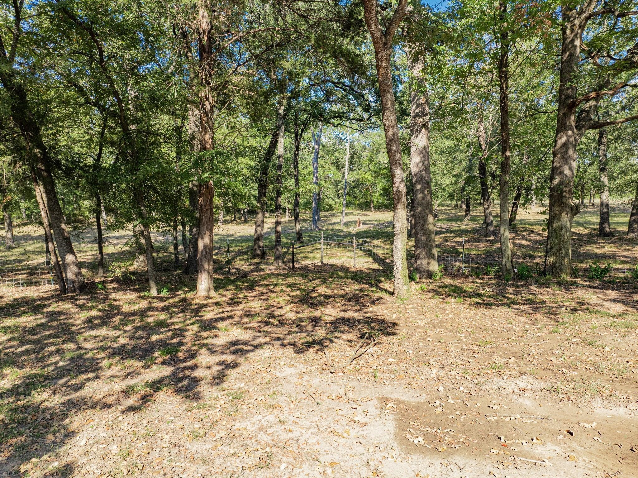 16043 County Road 339