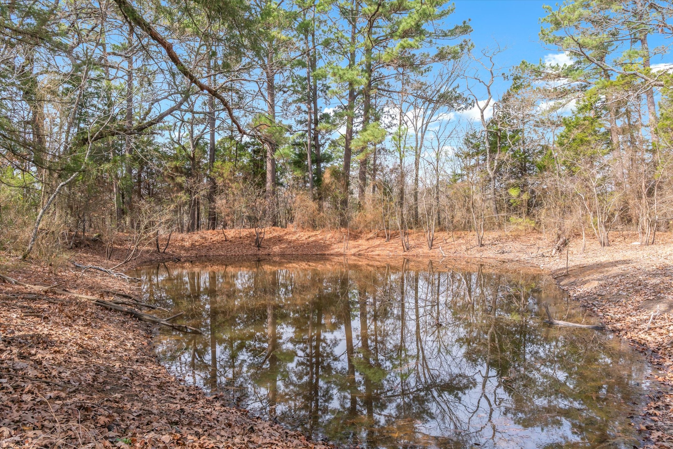 8844 State Highway 19 N