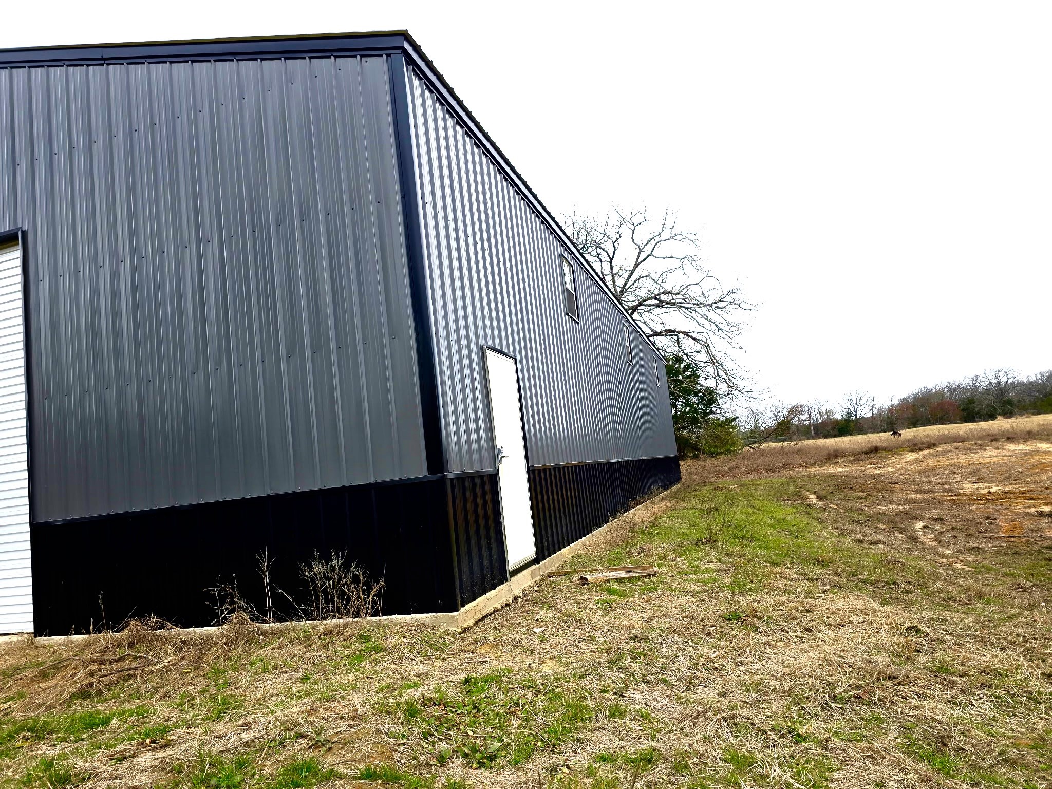 2378 County Road 3303