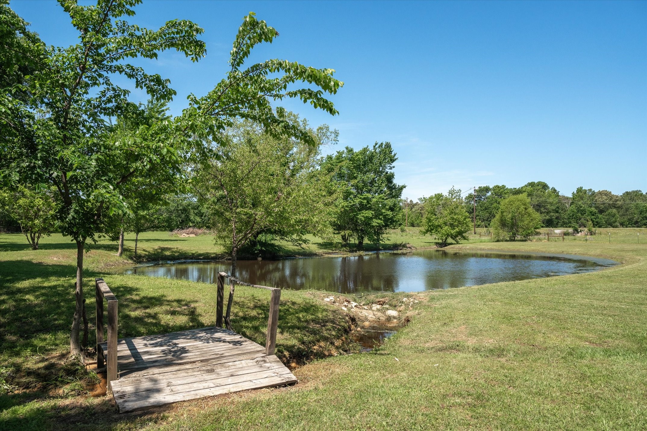 24289 State Highway 19