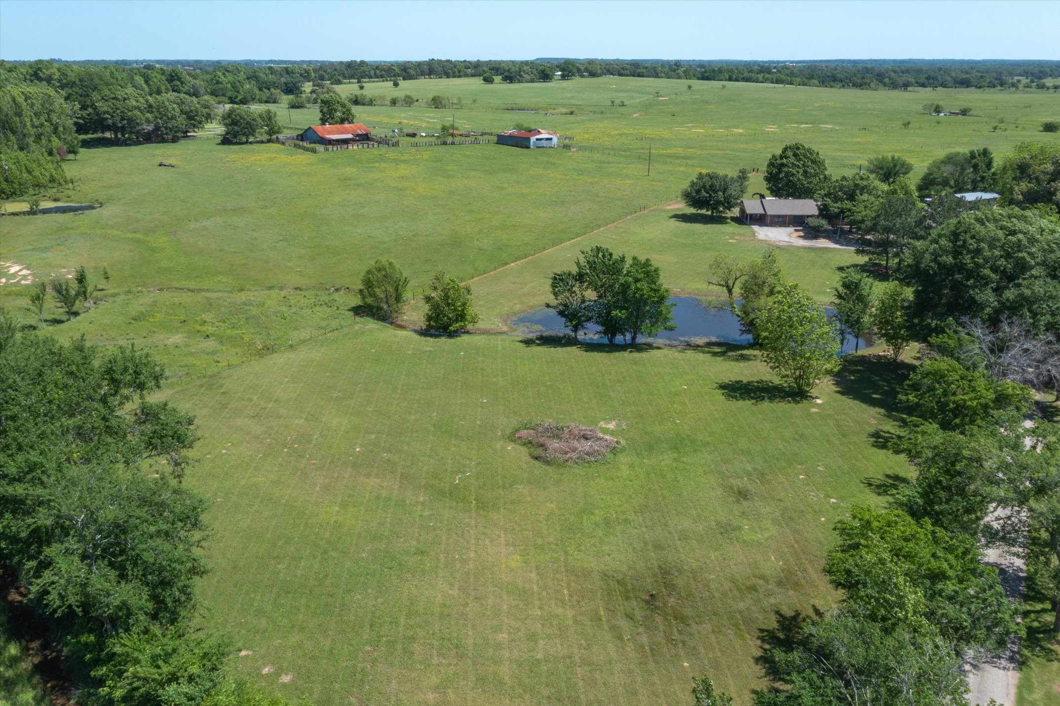 24289 State Highway 19