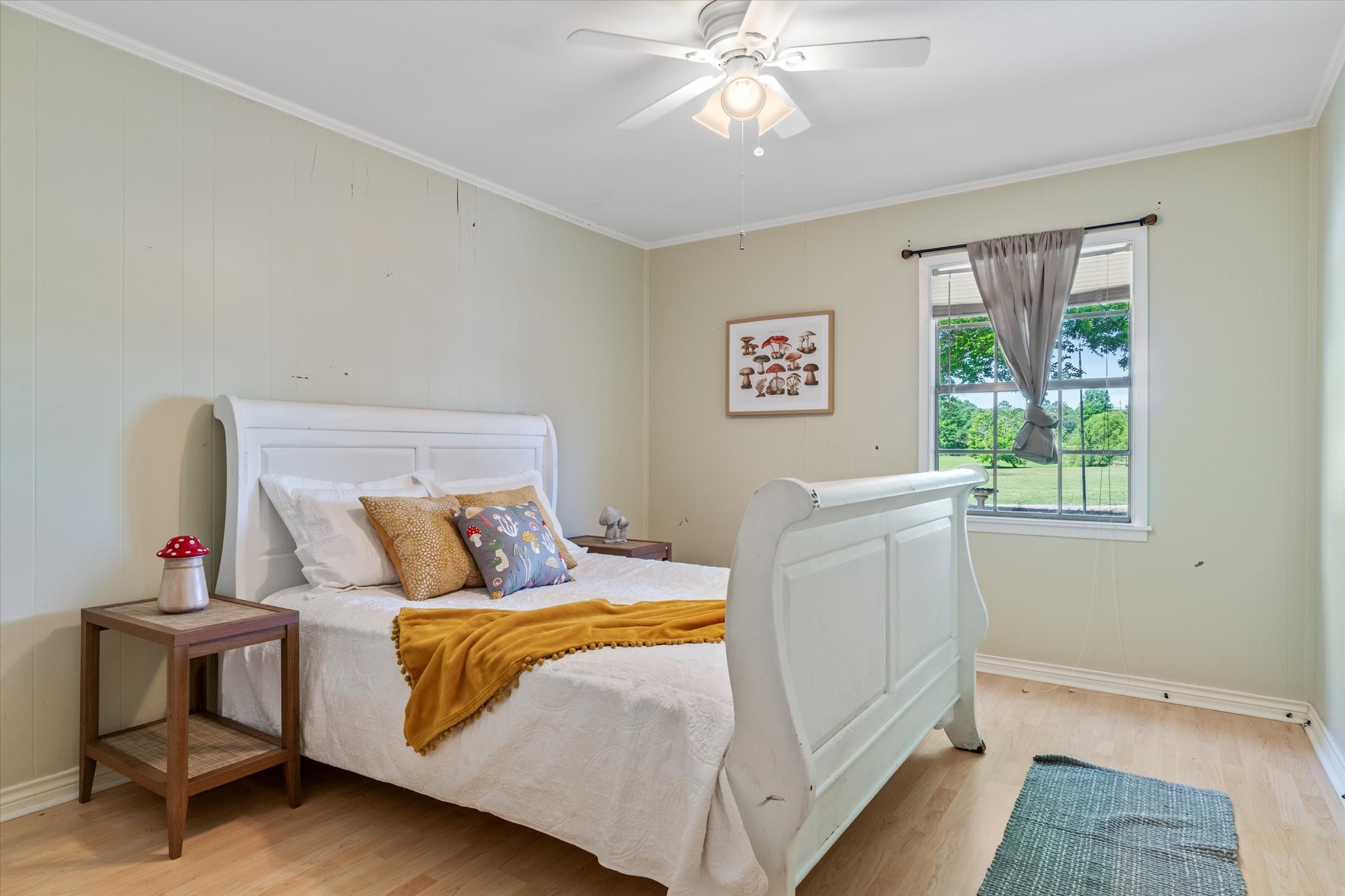 24291 State Highway 19