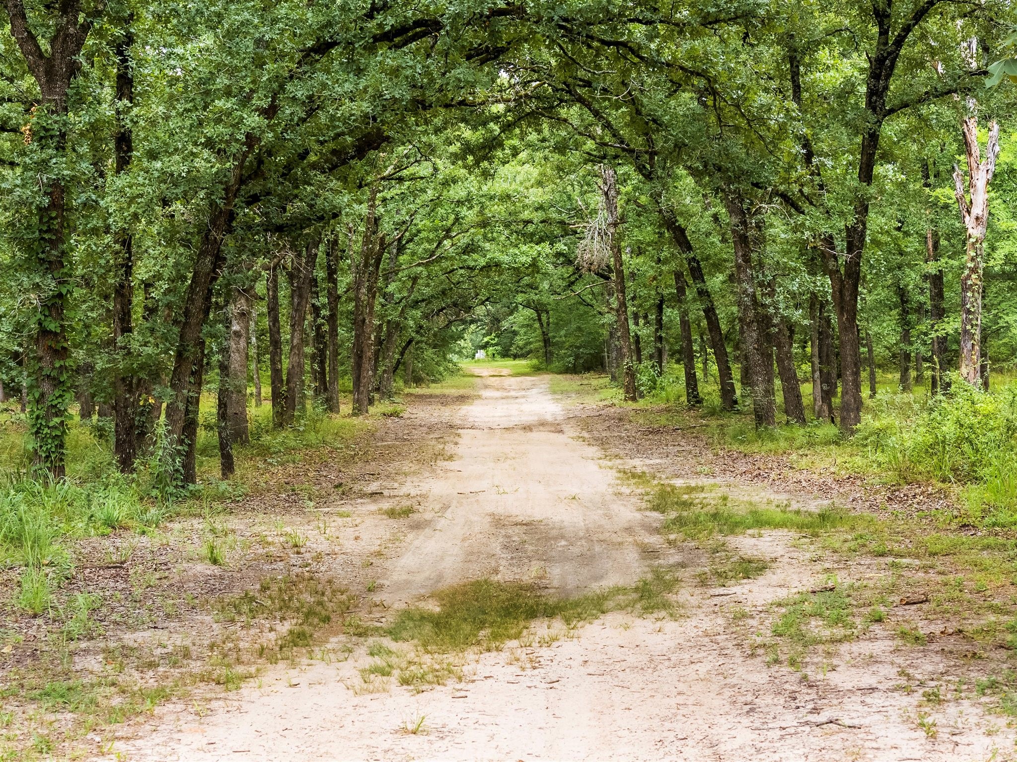 871 VZ County Road 1913