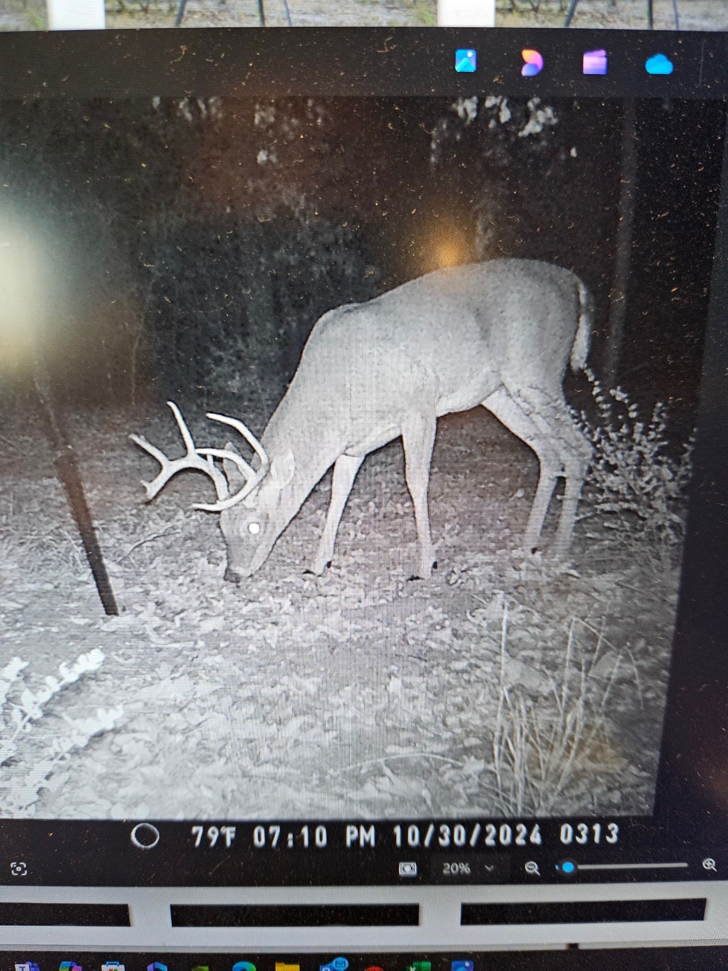 871 VZ County Road 1913