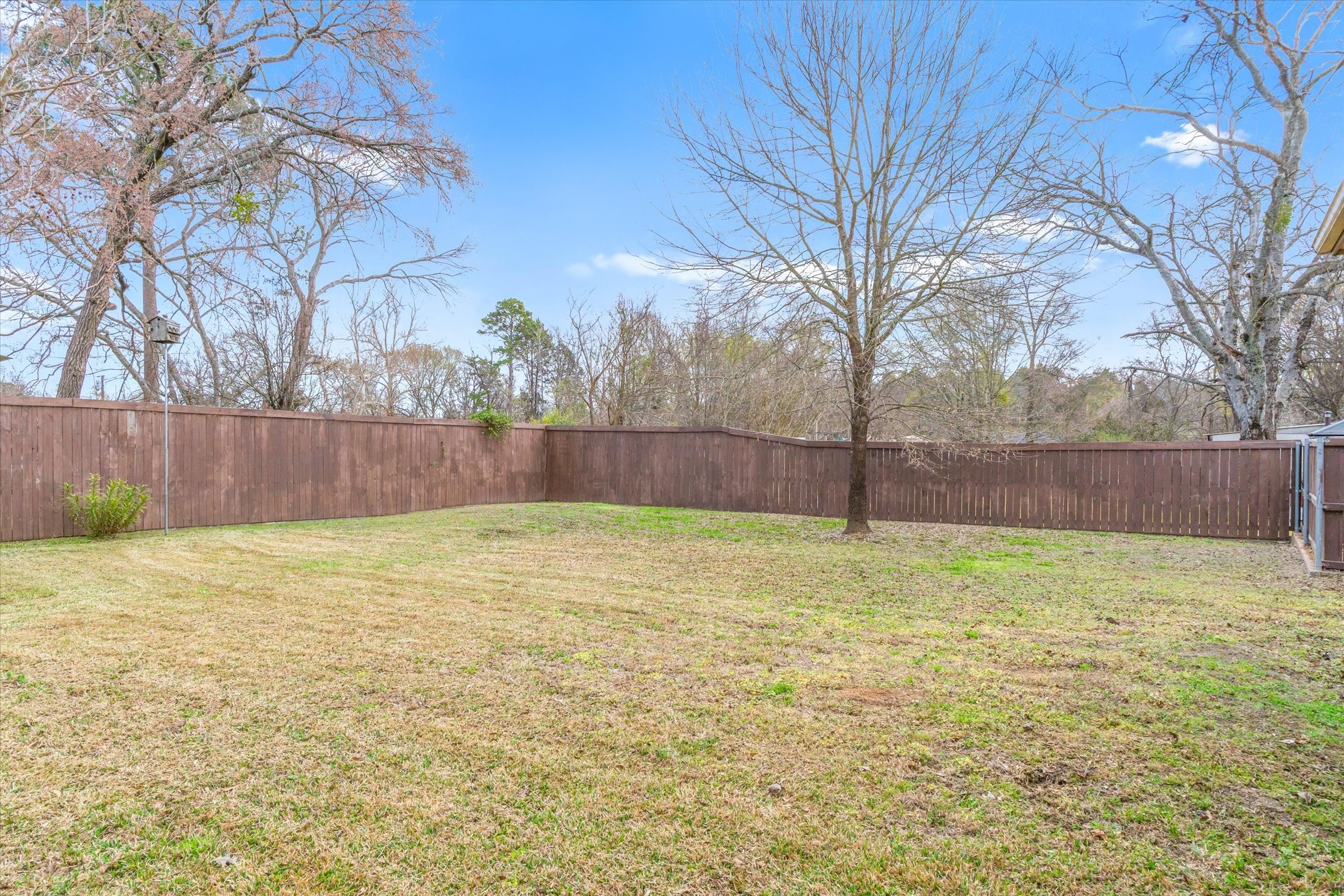 804 S Buffalo St Street