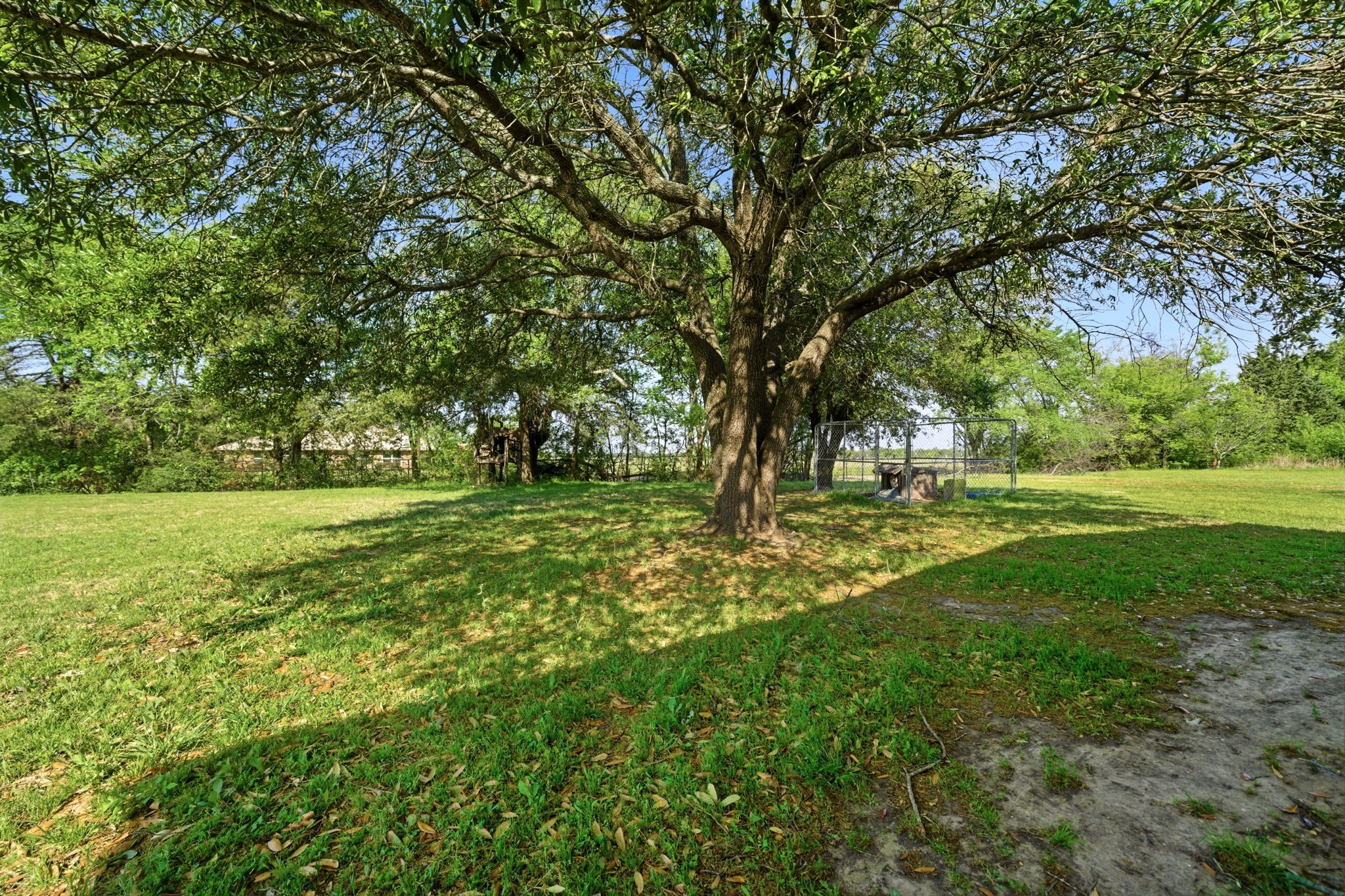 12175 County Road 4079