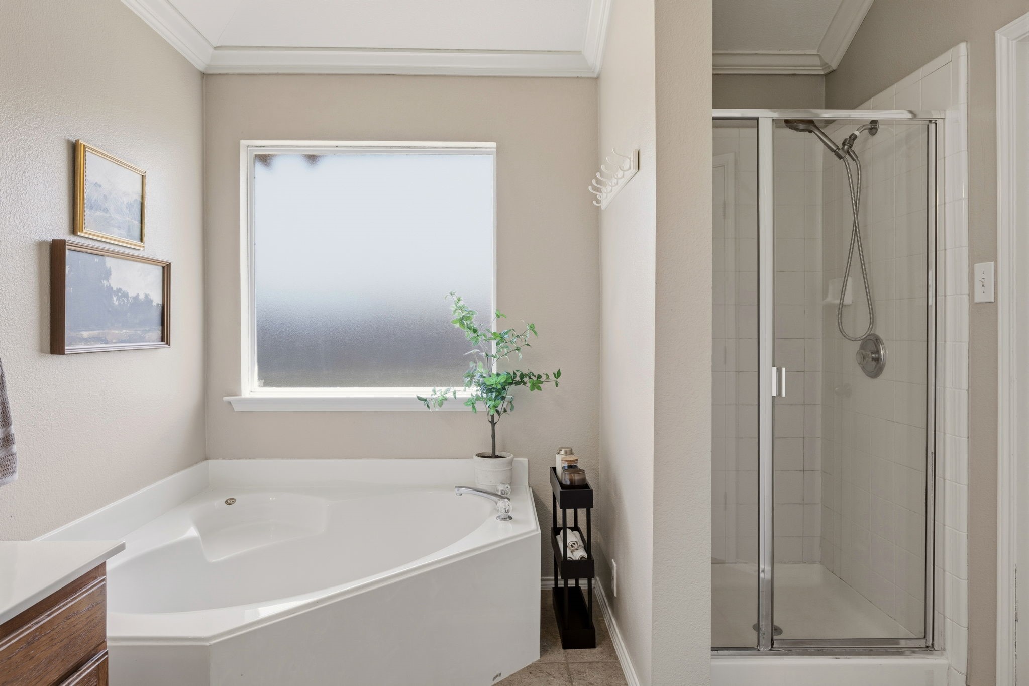 2120 Paintcreek Court