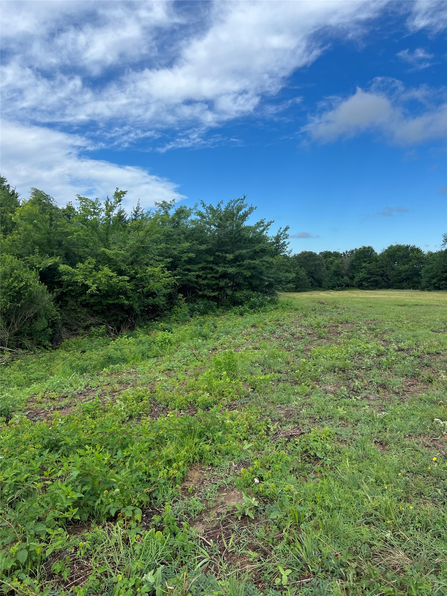 TBD County Road 4578