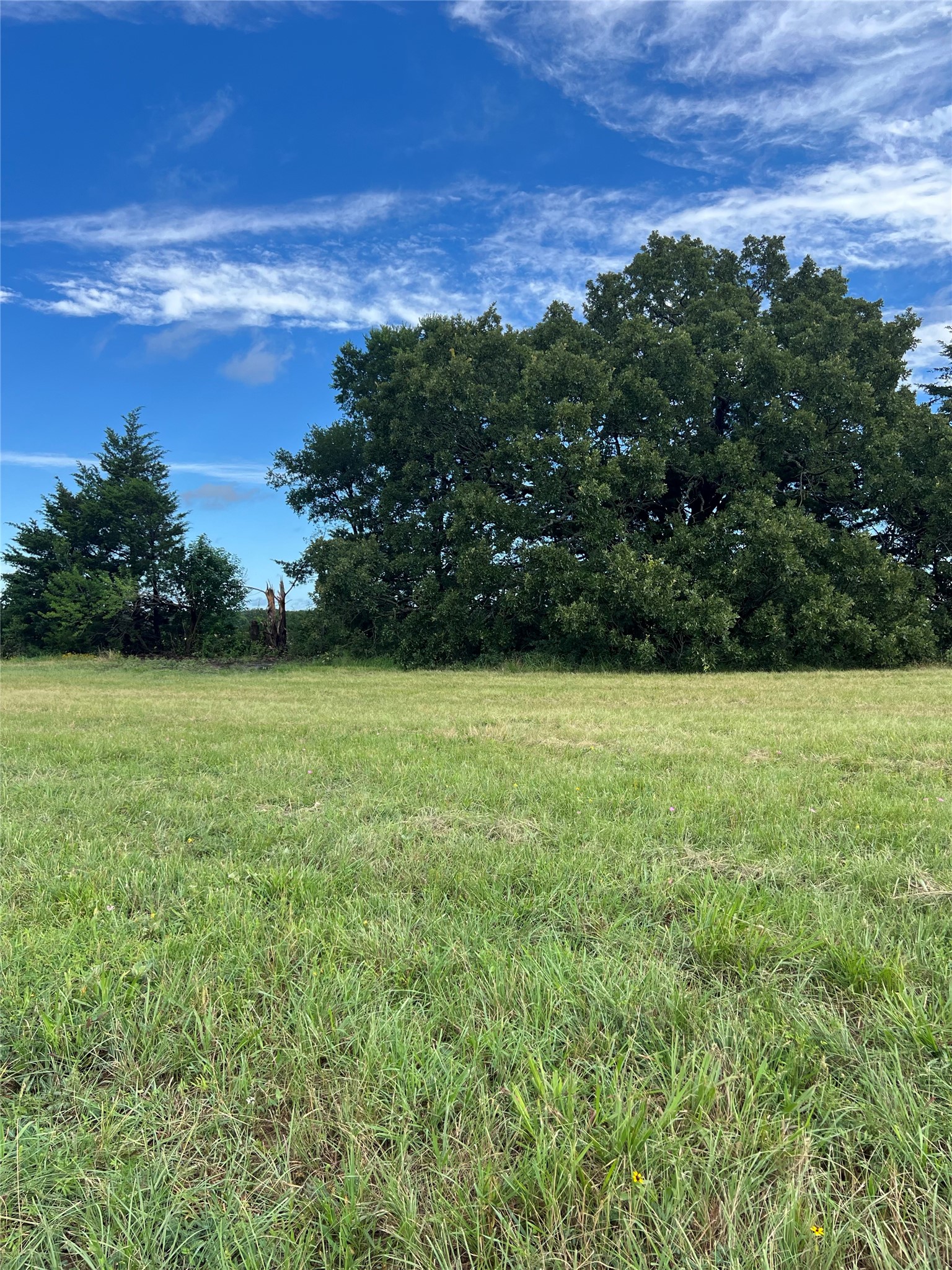TBD County Road 4578
