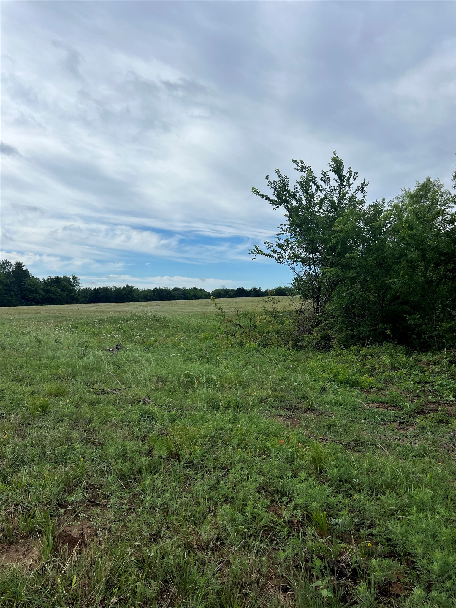 TBD County Road 4578