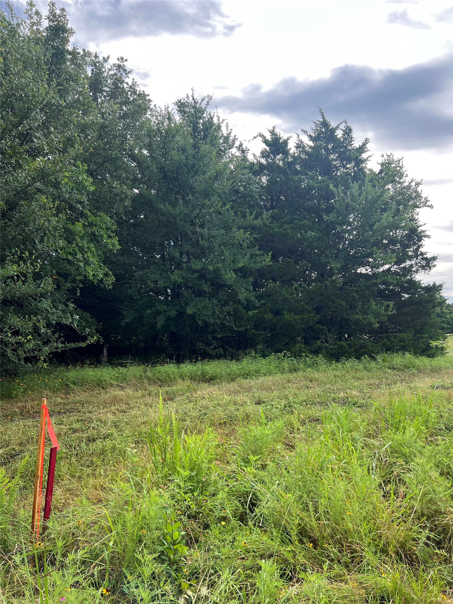 TBD County Road 4578