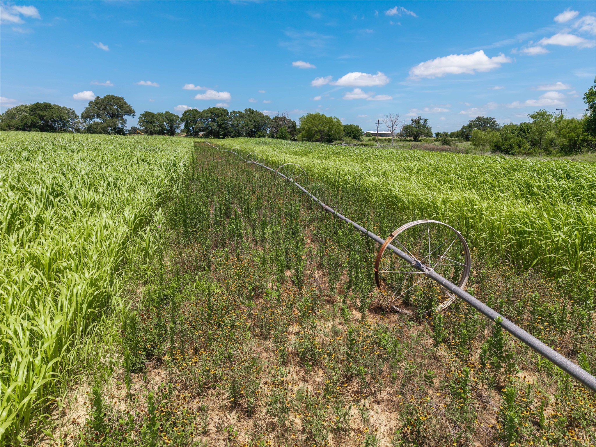 25.495 Acres Hwy 6 West