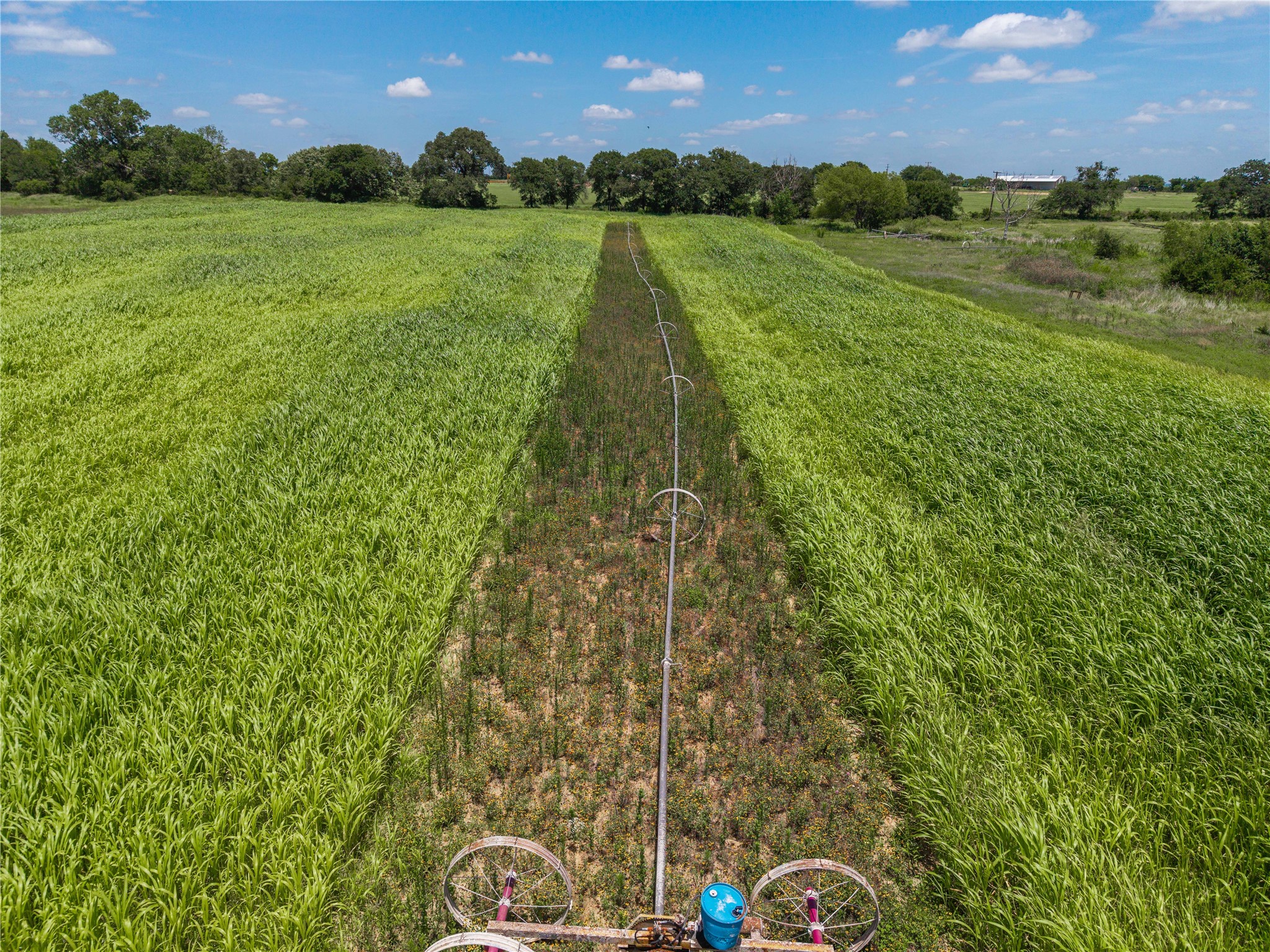 25.495 Acres Hwy 6 West