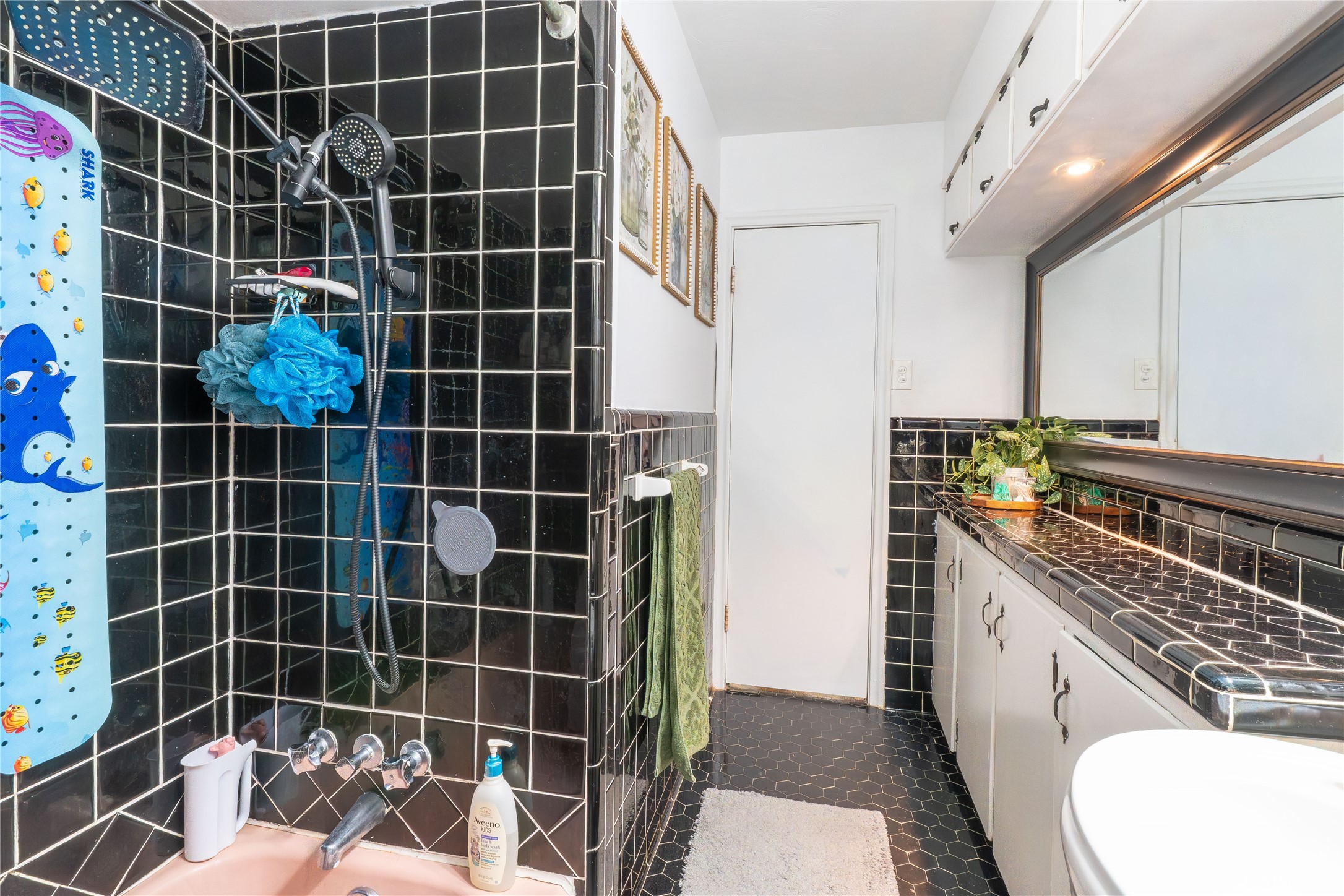 2422 Santa Cruz Drive