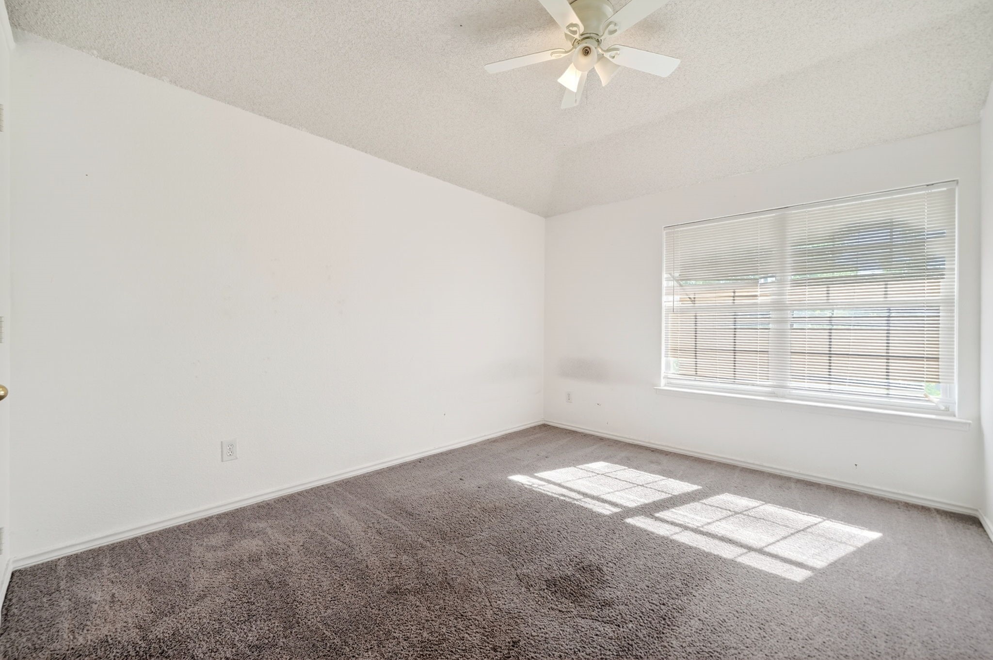 1110 Hall Drive