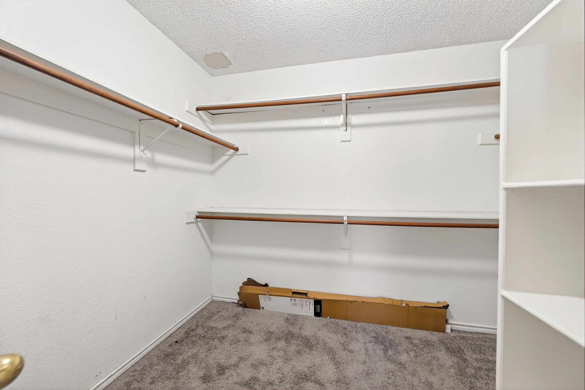 1110 Hall Drive