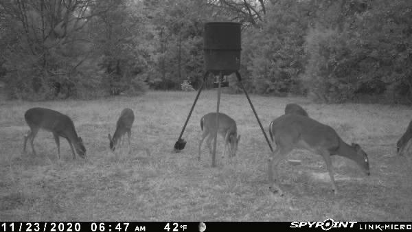 15301 County Road 4018