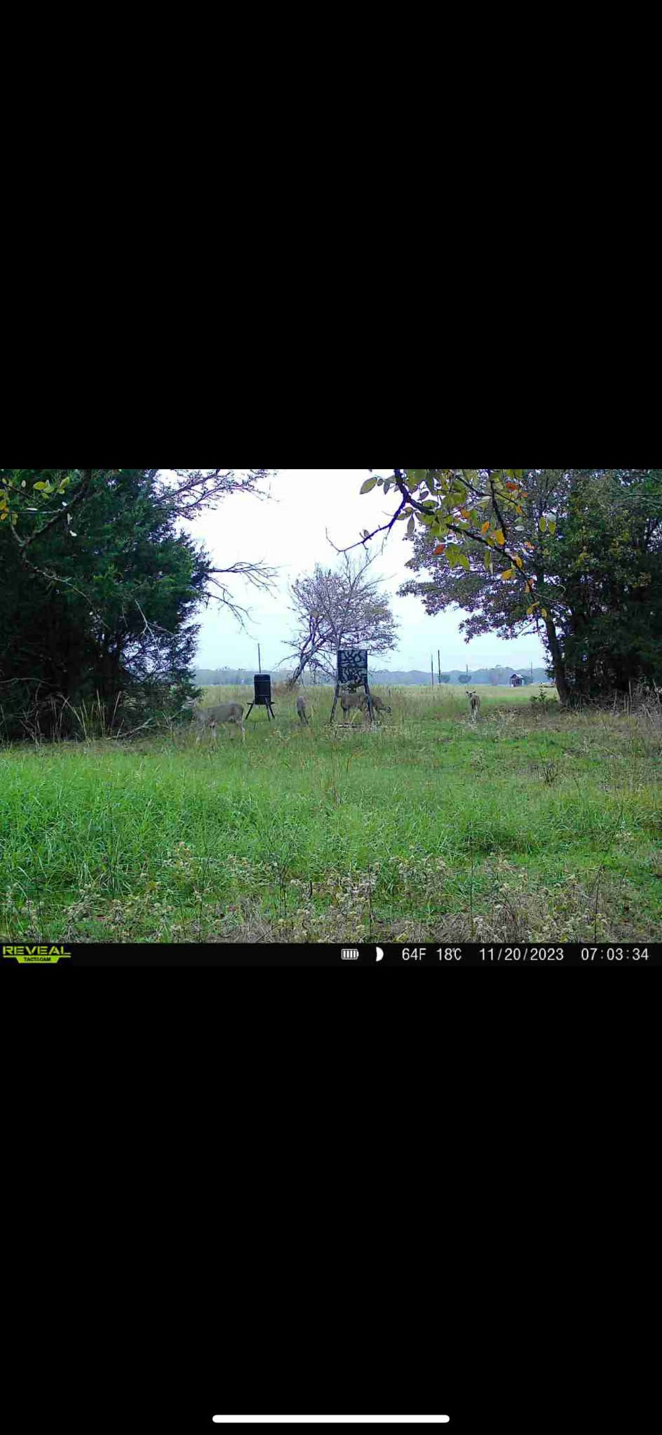 15301 County Road 4018