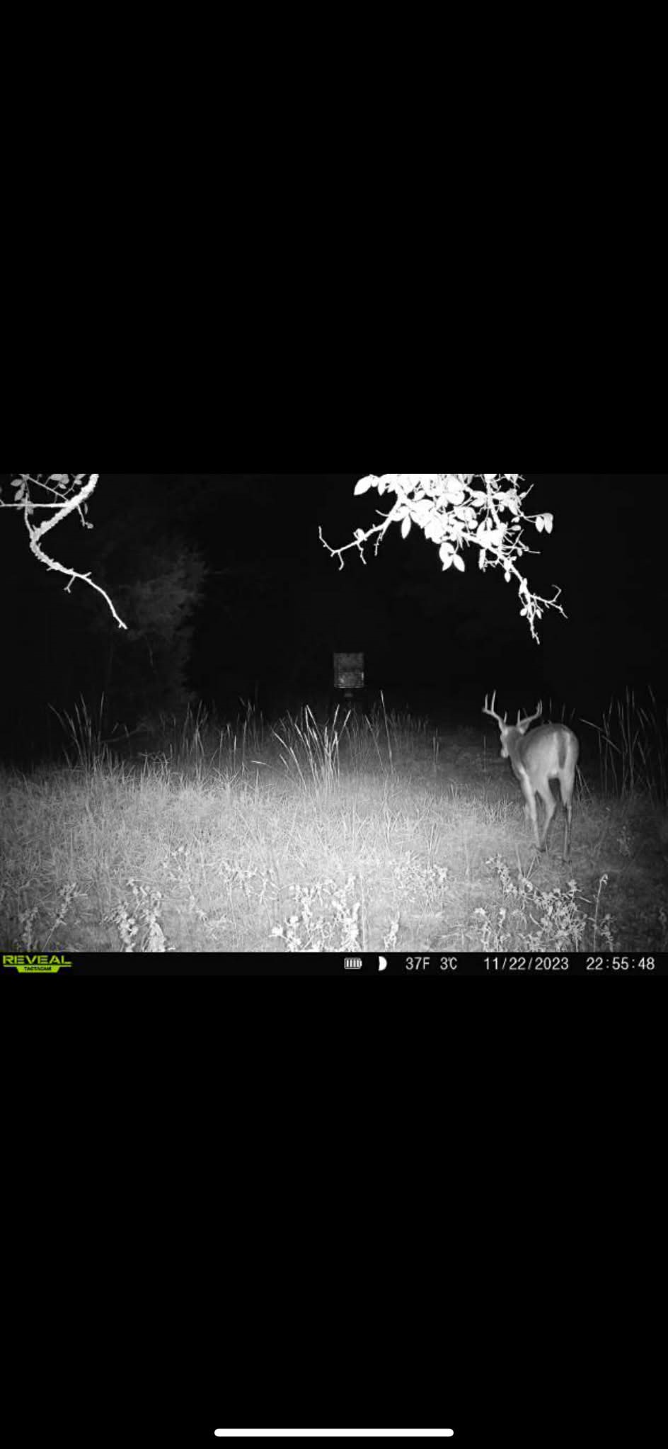 15301 County Road 4018