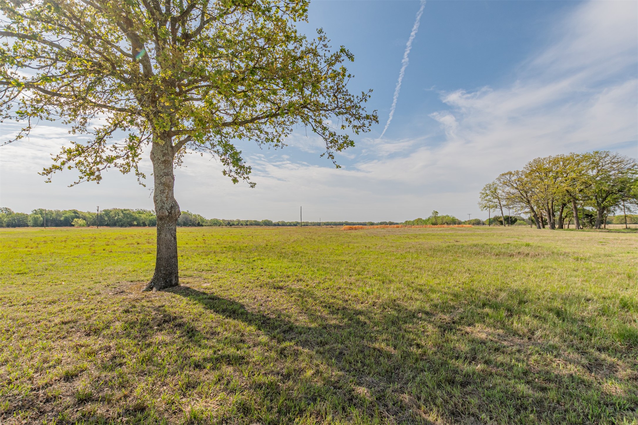 15301 County Road 4018