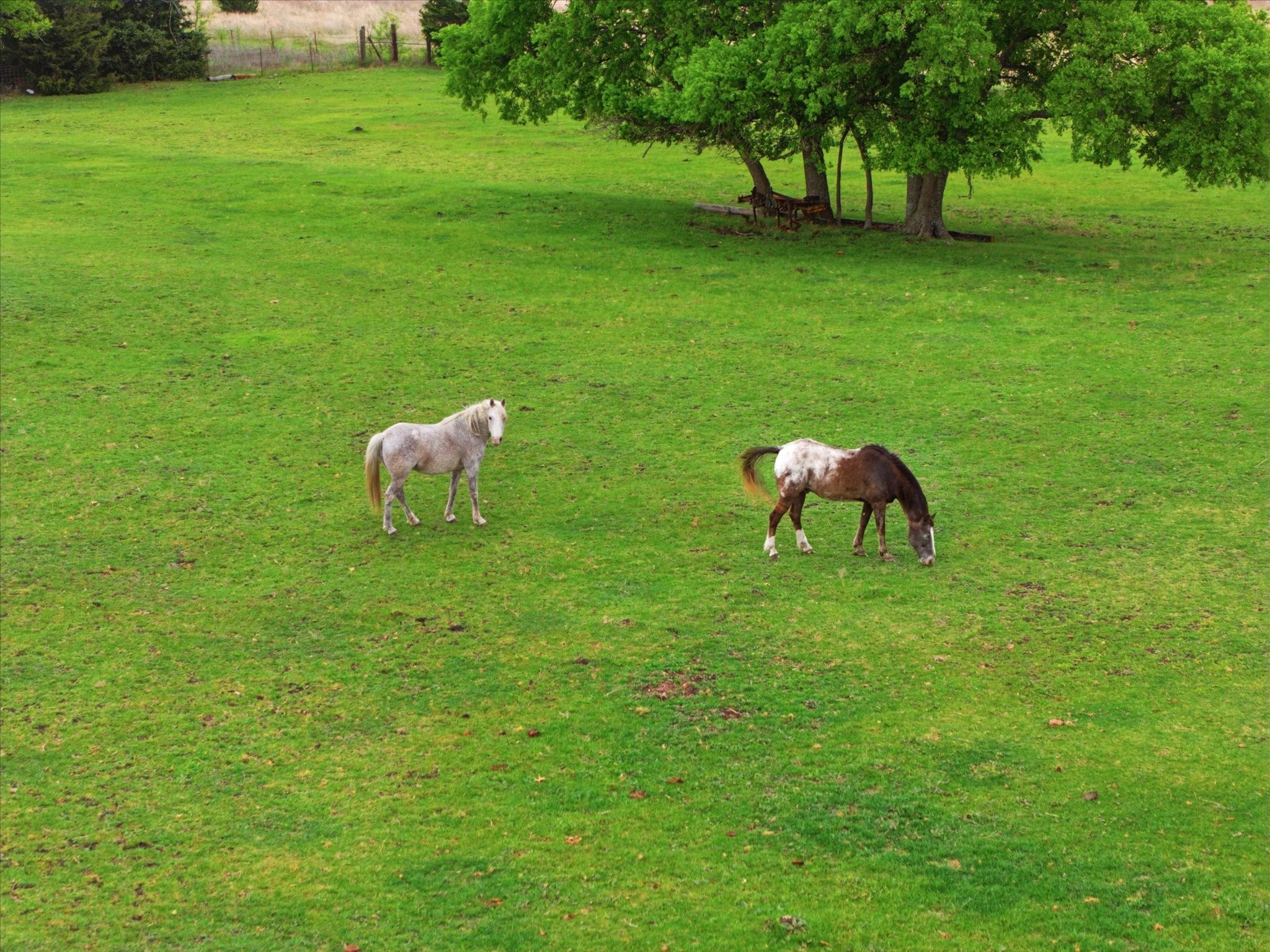 12384 County Road 800